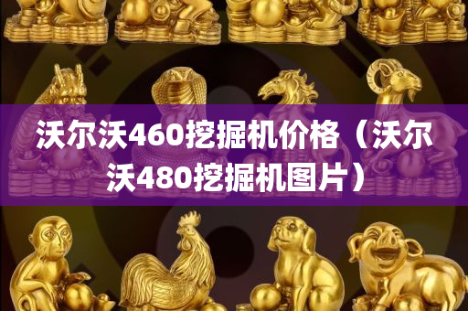 沃尔沃460挖掘机价格（沃尔沃480挖掘机图片）