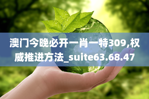 澳门今晚必开一肖一特309,权威推进方法_suite63.68.47