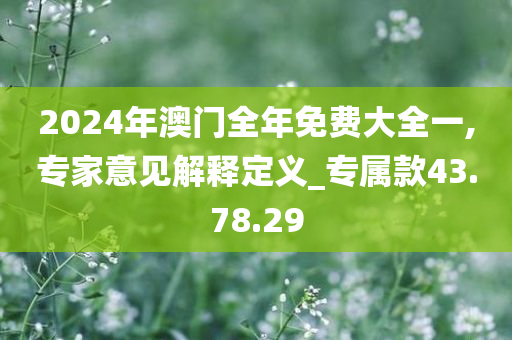 2024年澳门全年免费大全一,专家意见解释定义_专属款43.78.29