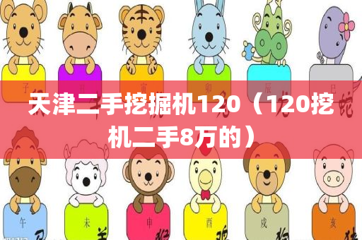 天津二手挖掘机120（120挖机二手8万的）