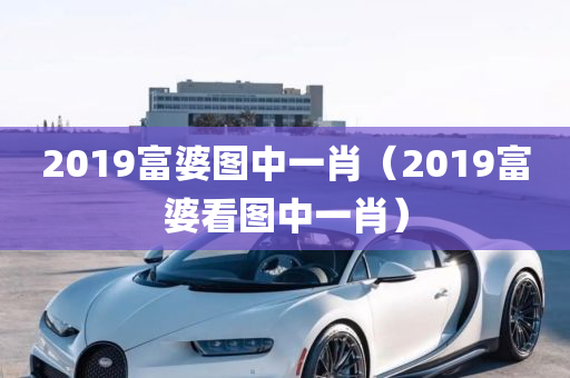 2019富婆图中一肖（2019富婆看图中一肖）