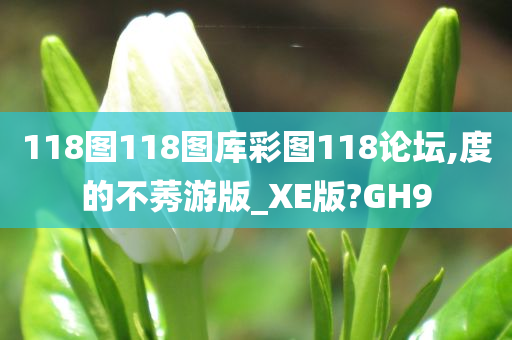 118图118图库彩图118论坛,度的不莠游版_XE版?GH9