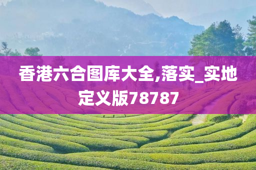 香港六合图库大全,落实_实地定义版78787