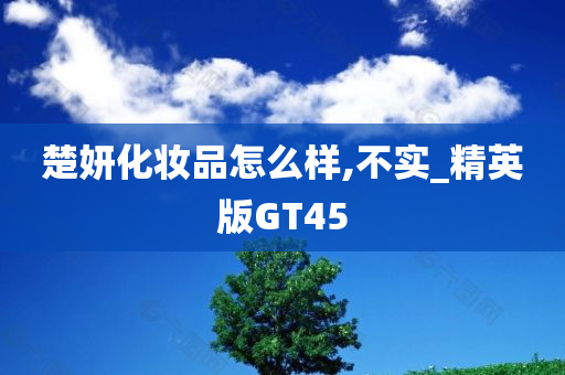 楚妍化妆品怎么样,不实_精英版GT45