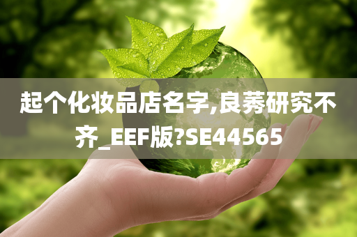 起个化妆品店名字,良莠研究不齐_EEF版?SE44565