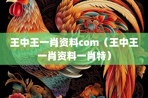 王中王一肖资料com（王中王一肖资料一肖特）