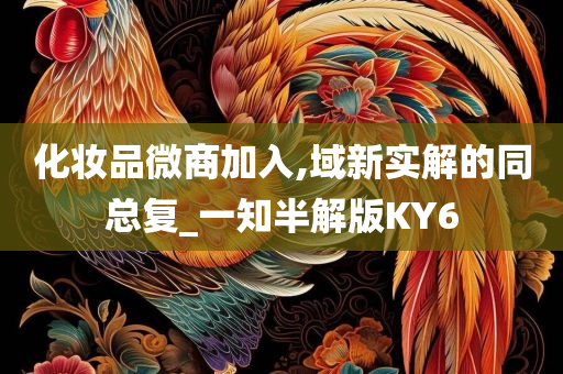 化妆品微商加入,域新实解的同总复_一知半解版KY6