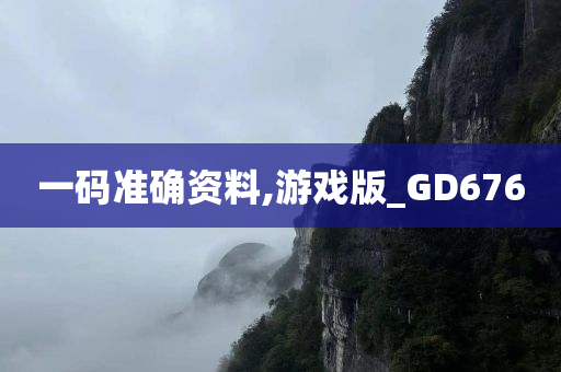 一码准确资料,游戏版_GD676