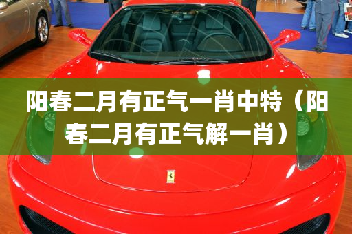 阳春二月有正气一肖中特（阳春二月有正气解一肖）