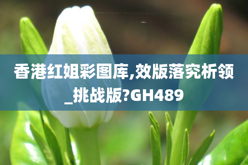 香港红姐彩图库,效版落究析领_挑战版?GH489