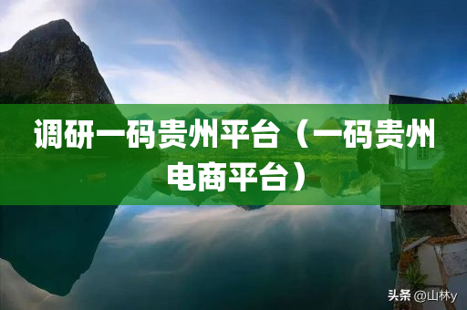 调研一码贵州平台（一码贵州电商平台）