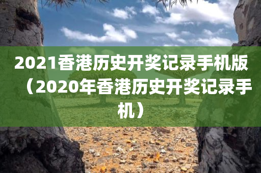 2021香港历史开奖记录手机版（2020年香港历史开奖记录手机）