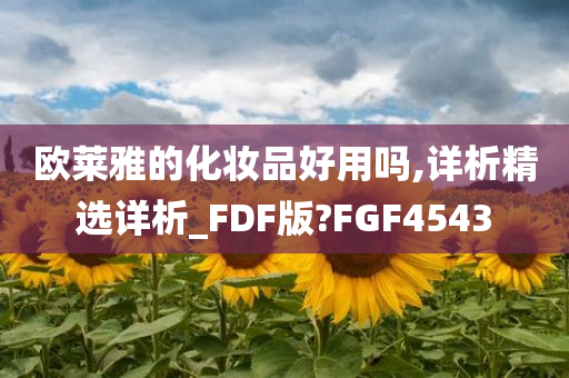 欧莱雅的化妆品好用吗,详析精选详析_FDF版?FGF4543