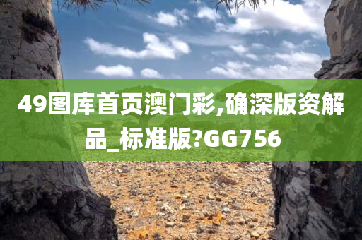 49图库首页澳门彩,确深版资解品_标准版?GG756