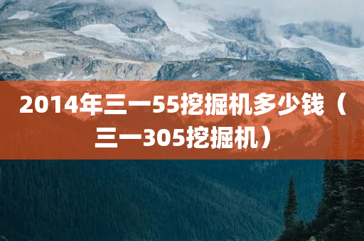 2014年三一55挖掘机多少钱（三一305挖掘机）