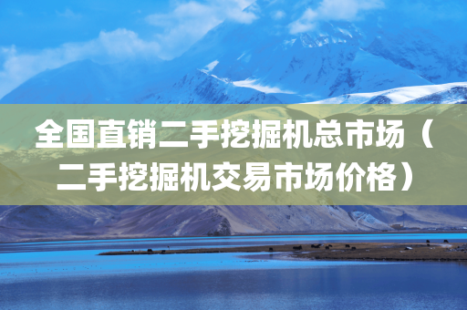 全国直销二手挖掘机总市场（二手挖掘机交易市场价格）