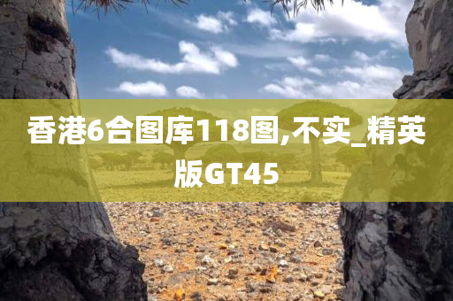 香港6合图库118图,不实_精英版GT45