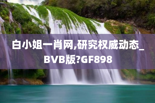 白小姐一肖网,研究权威动态_BVB版?GF898