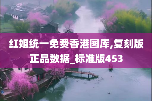 红姐统一免费香港图库,复刻版正品数据_标准版453