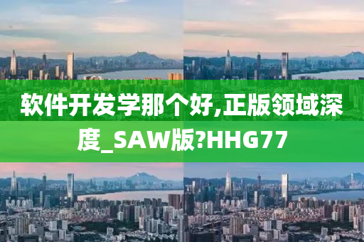 软件开发学那个好,正版领域深度_SAW版?HHG77