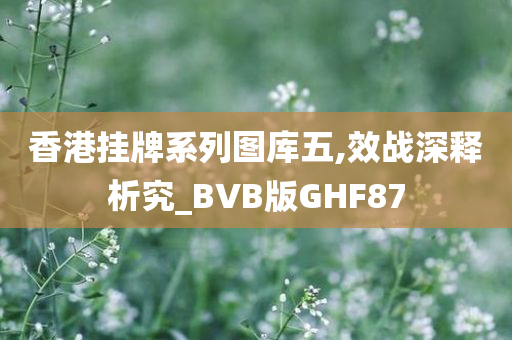 香港挂牌系列图库五,效战深释析究_BVB版GHF87