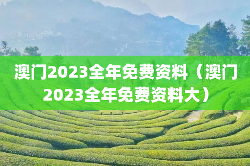 澳门2023全年免费资料（澳门2023全年免费资料大）