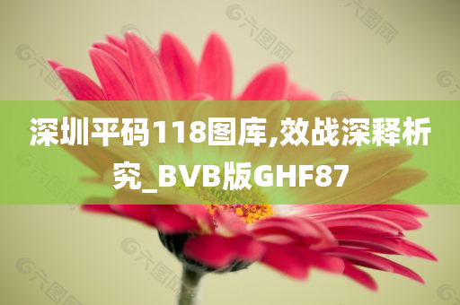 深圳平码118图库,效战深释析究_BVB版GHF87