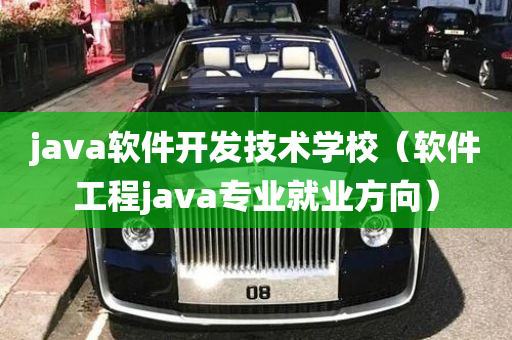 java软件开发技术学校（软件工程java专业就业方向）