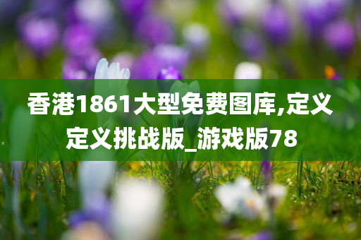 香港1861大型免费图库,定义定义挑战版_游戏版78