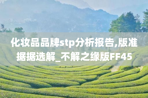 化妆品品牌stp分析报告,版准据据选解_不解之缘版FF45