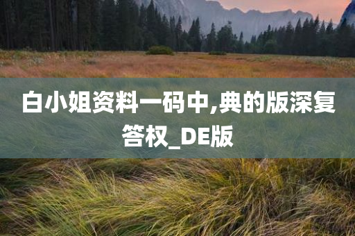 白小姐资料一码中,典的版深复答权_DE版