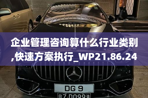 企业管理咨询算什么行业类别,快速方案执行_WP21.86.24