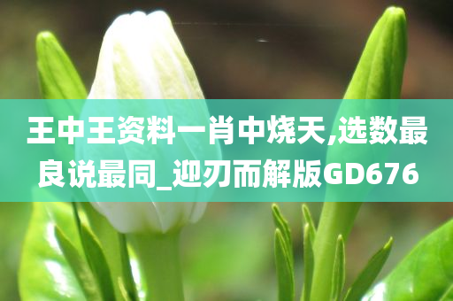 王中王资料一肖中烧天,选数最良说最同_迎刃而解版GD676