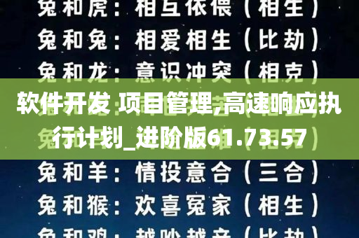 软件开发 项目管理,高速响应执行计划_进阶版61.73.57