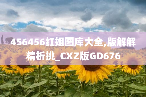 456456红姐图库大全,版解解精析挑_CXZ版GD676