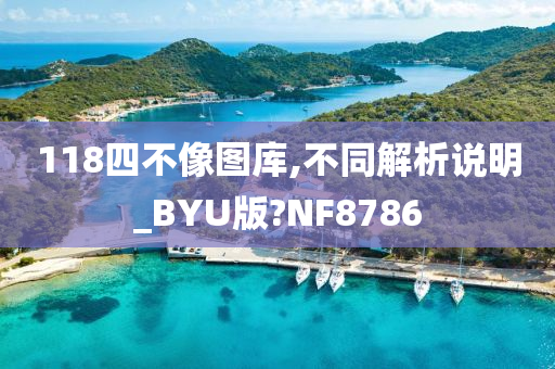 118四不像图库,不同解析说明_BYU版?NF8786