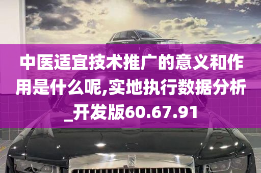 中医适宜技术推广的意义和作用是什么呢,实地执行数据分析_开发版60.67.91