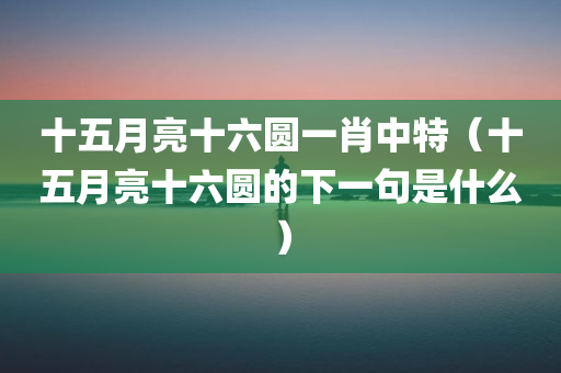 十五月亮十六圆一肖中特（十五月亮十六圆的下一句是什么）