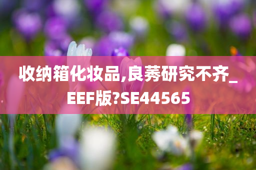 收纳箱化妆品,良莠研究不齐_EEF版?SE44565