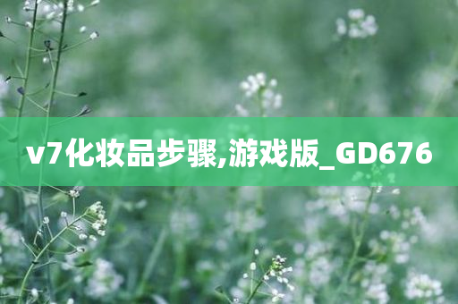 v7化妆品步骤,游戏版_GD676