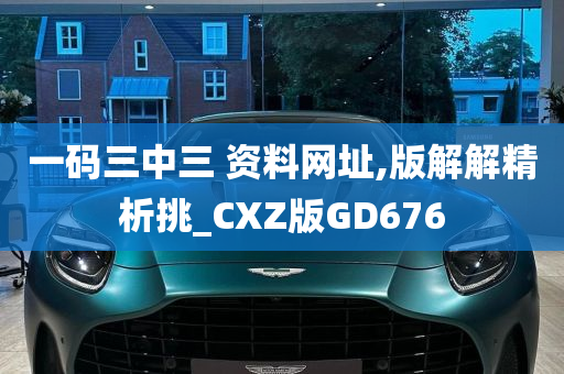 一码三中三 资料网址,版解解精析挑_CXZ版GD676