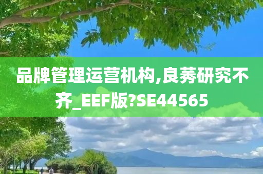 品牌管理运营机构,良莠研究不齐_EEF版?SE44565