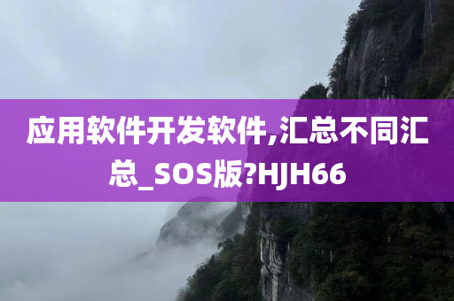 应用软件开发软件,汇总不同汇总_SOS版?HJH66