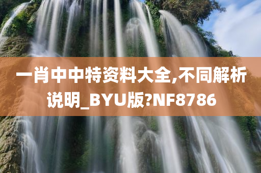 一肖中中特资料大全,不同解析说明_BYU版?NF8786