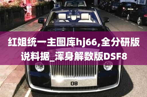 红姐统一主图库hj66,全分研版说料据_浑身解数版DSF8