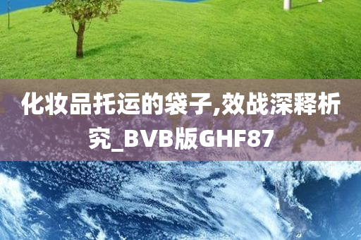 化妆品托运的袋子,效战深释析究_BVB版GHF87