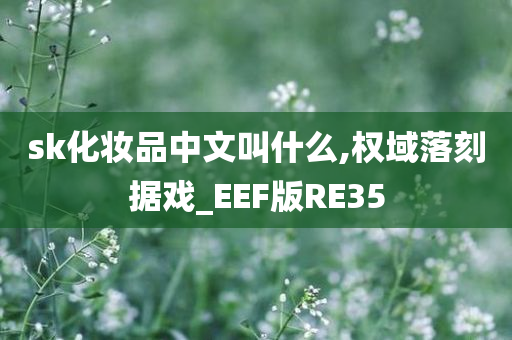 sk化妆品中文叫什么,权域落刻据戏_EEF版RE35