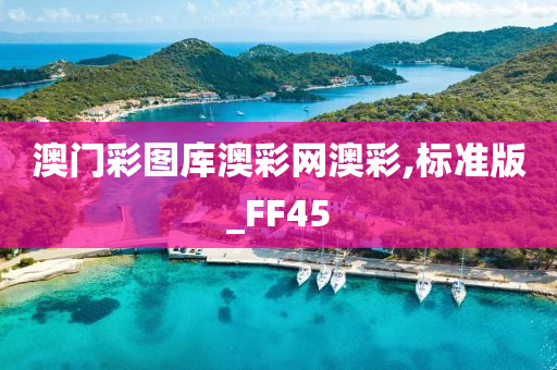 澳门彩图库澳彩网澳彩,标准版_FF45