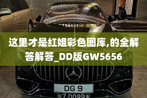 这里才是红姐彩色图库,的全解答解答_DD版GW5656