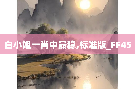 白小姐一肖中最稳,标准版_FF45